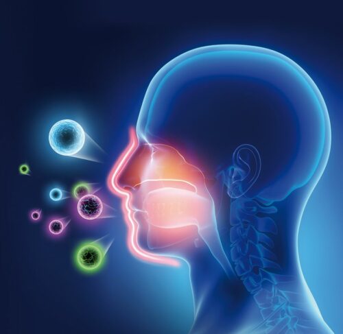 Kosttillskott Nutrinovate Medistus® Antivirus skyddsbarriär för munnen och halsens slemhinnor